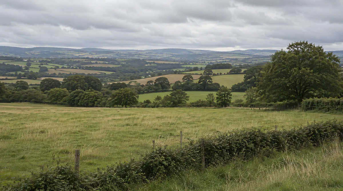 English patchwork farmland with a ploughed field, hedgerows, a five-bar gate and a distant church tower